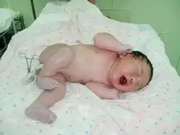 粉嫩宝宝们的搞笑裸照
