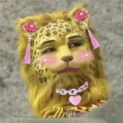 最近很火的金钱豹头像没有人能拒绝一只金钱豹头像

