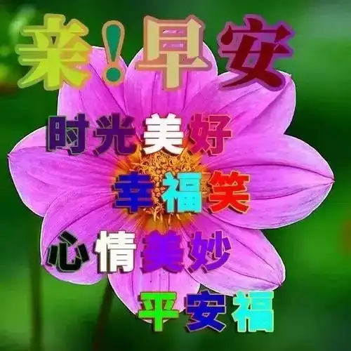 练就波澜不惊的忍耐,再艰难的岁月,也只不过是浮云,早安
