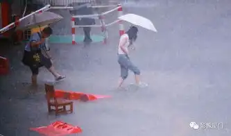 红色预警今早暴雨突袭厦门多地看海双台风胚胎搞事,同安暴雨狂风将持续到...
