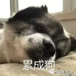 妙哉妙哉德语复合词一我虽然看着长,但一词千言啊
