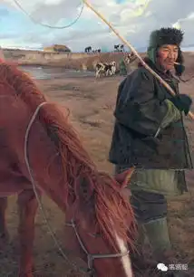 理想主义与现实品格龙力游的油画创作
