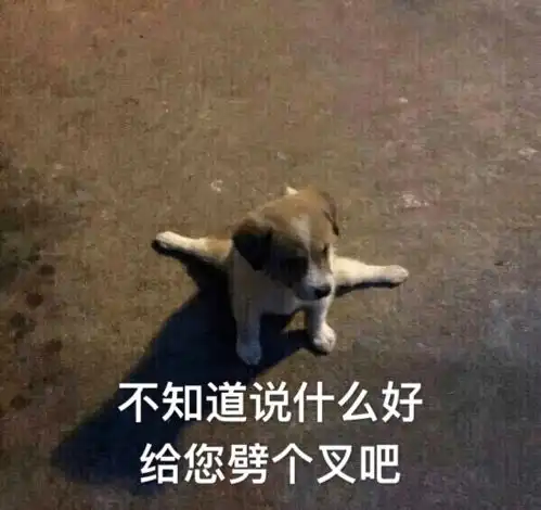 让中老年喜笑颜开的盘棍是什么
