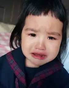 包饺子从表情包到女神,只怪包文婧基因太强大
