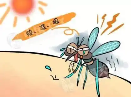 世界蚊子日你为什么招蚊子跟血型有关吗
