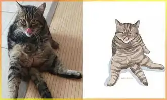 另类的猫咪图片,从搞笑到治愈,笑着笑着心就暖暖的
