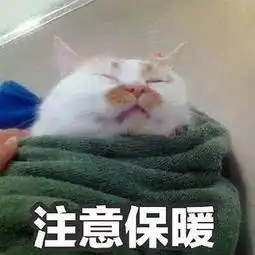搞事情男子背着大编织袋游弋在正阳步行街民警一路跟踪擒获后发现他

