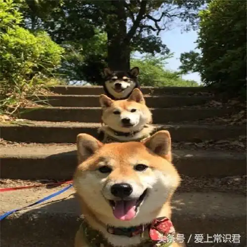 开心一刻手机有个来电,老婆抢过去接了,听见一个娇滴滴的女声
