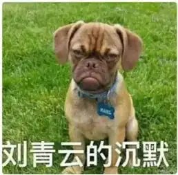 uber传奇女强人吸过毒派过传单,9年后却比创始人还成功
