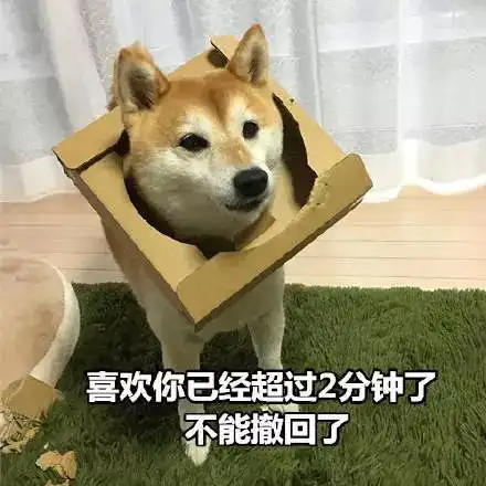 来自柴柴的土味情话
