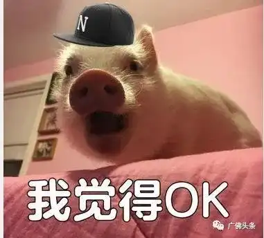 今日冬至,汤圆饺子之争有了结果广佛吃货们的回答亮了......
