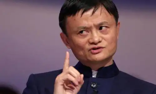 盒马鲜生关店ceo解释其中的无奈,马云数十亿或打水漂
