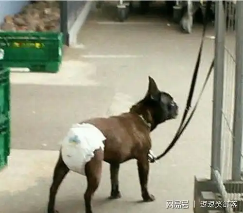 幽默段子说的我好像不会搞你一样
