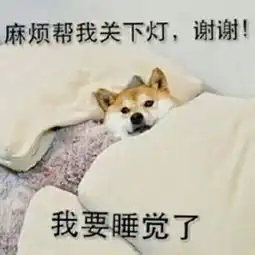 超级搞怪的狗狗带字图片呢大全可爱呆萌太过热情总是不被珍惜
