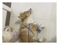 爆笑gif动图理发师你下班别走,我跟你聊聊人生
