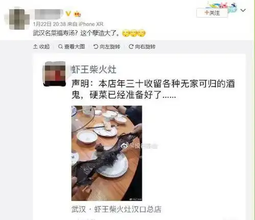 每日轻松一刻一夜之间,河南火了
